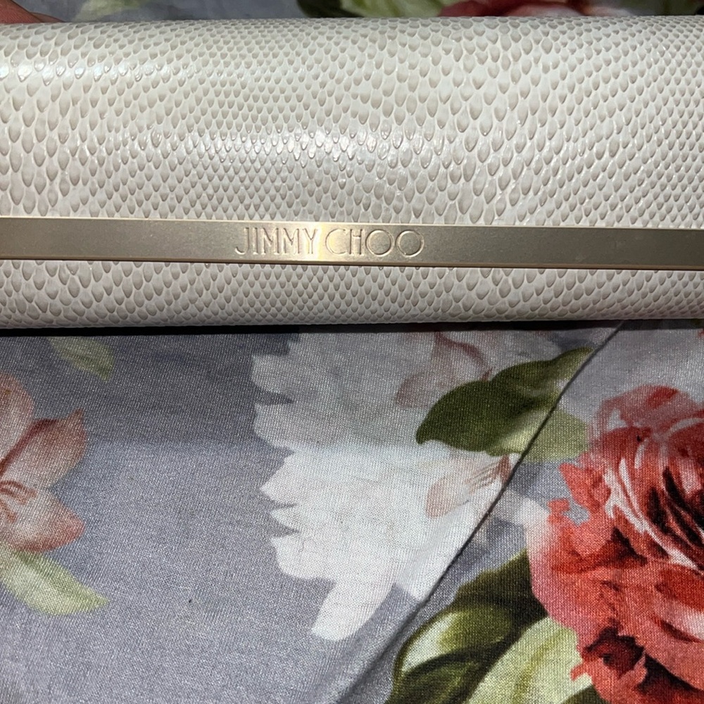 Authentic Jimmy Choo sunglass case. Never used. From Nordstrom